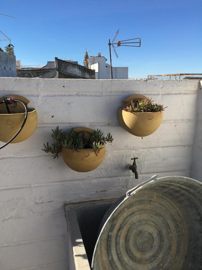 Casa Leon Blanco Carmona Reformada Centrica Con Chimenea Y Terraza Con Vistas Villa Exterior photo